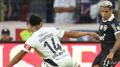 كيتو ضد بوتافوجو في كوبا ليبرتادوريس