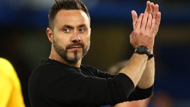 روبيرتو دي زيربي