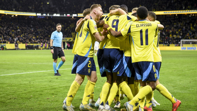 المنتخب السويدي